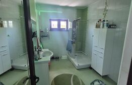 Casa de vanzare, 240 mp, zona Vanatori 
