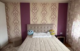 Apartament cu 2 camere, 65 mp, zona I.C Frimu