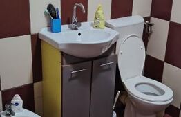 Casa tip dulpex de vânzare, 250 mp, cartier Filesti