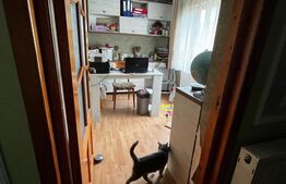 Casa de vanzare, 120 mp, sat Traian - comuna Branistea 