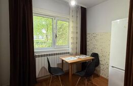 Garsoniera, 22 mp, parter, zona Ireg