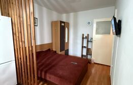 Garsoniera, 22 mp, parter, zona Ireg