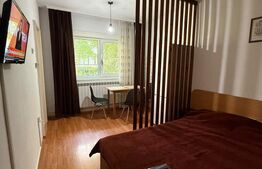 Garsoniera, 22 mp, parter, zona Ireg