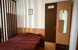 Garsoniera, 22 mp, parter, zona Ireg