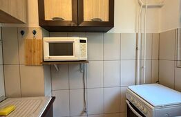Garsoniera, 22 mp, parter, zona Ireg