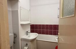 Garsoniera, 22 mp, parter, zona Ireg