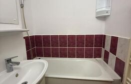 Garsoniera, 22 mp, parter, zona Ireg