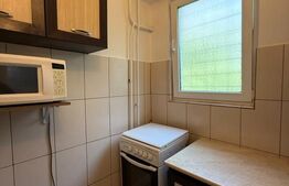Garsoniera, 22 mp, parter, zona Ireg