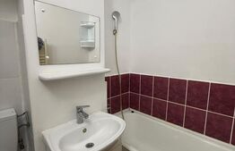 Garsoniera, 22 mp, parter, zona Ireg