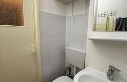 Garsoniera, 22 mp, parter, zona Ireg