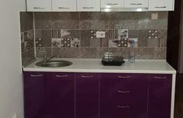 Apartament cu 1 camera, 25 mp, zona Faleza - Saturn
