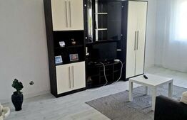 APARTAMENT 2 CAMERE-PIATA CENTRALA