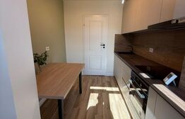 Apartament 2 camere, complet renovat, 52 mp, etaj 3, Bulevardul George Cosbuc