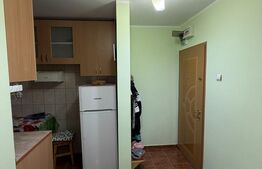 Apartament 2 camere, 41.20 mp, zona  Micro 19