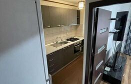 Apartament o camera, decomandat, 37 mp, zona IC Frimu