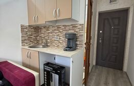 Garsoniera de vanzare, 12 mp, renovata, zona Micro 19