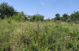 Teren de vanzare, 2.845 mp, zona Craiesti