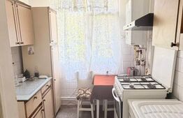 Apartament de vanzare, 48 mp, zona Tiglina 1 
