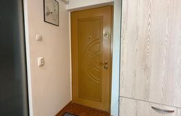 Apartament de vanzare, 32 mp, zona Mazepa 2