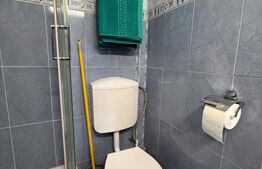 Apartament de vanzare, 32 mp, zona Mazepa 2
