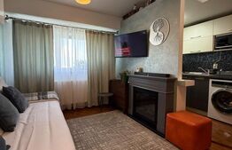 Apartament de vanzare, 32 mp, zona Mazepa 2