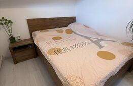 Apartament de vanzare, 32 mp, zona Mazepa 2