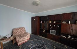 Apartament cu 2 camere, 55 mp, zona Micro 20