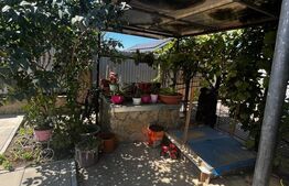 Casa de vanzare in Odaia Manolache