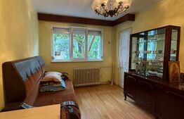 Apartament de vanzare, 2 camere decomandat, parter, Micro 13