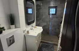 Apartament de vânzare, 42 mp, zona Siderurgiștilor 