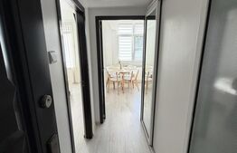 APARTAMENT CU 1 CAMERA CENTRAL