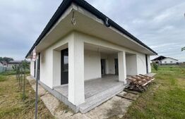 Casa de vanzare in Vanatori 