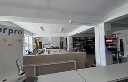 Spațiu comercial de vânzare 255 mp, M19 