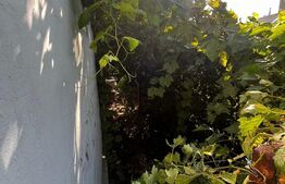 Casa de vanzare in Galati cu spatiu comercial 