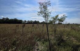 Vânzare teren 4 hectare