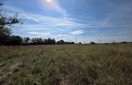 Vânzare teren 4 hectare