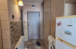 Apartament o camera, 37mp, Decomandat, Zona Tiglina 1