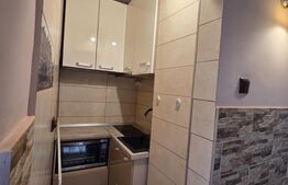 Apartament o camera, 37mp, Decomandat, Zona Tiglina 1