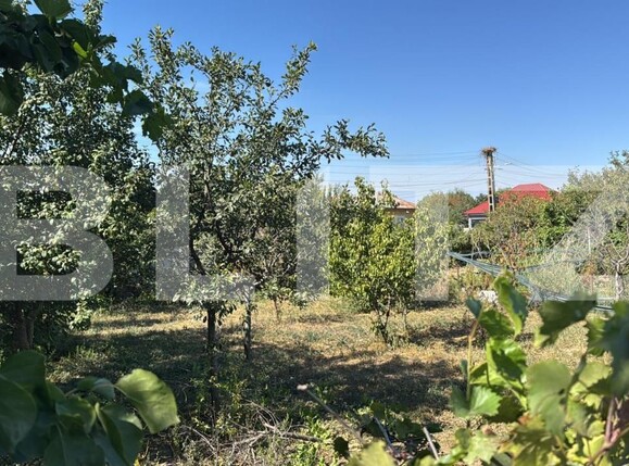 Casa de vânzare 5 camere Periferie - 207219CV | BLITZ Galati | Poza7