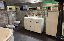 Casa de Vanzare langa Mall Shopping City 