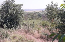 Casa de vanzare, 113 mp, zona Oancea