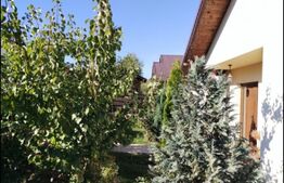 Casa cu 3 camere, 350 mp teren, Horpaz