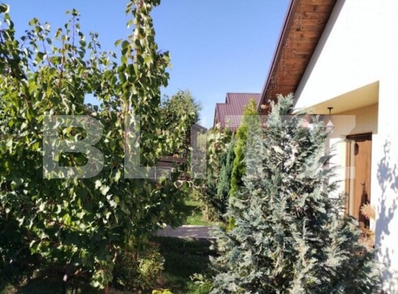 Casa de vânzare 3 camere Horpaz - 100035CV | BLITZ Iași | Poza5