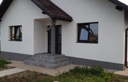 Casa de 3 camere, 350 mp teren, Horpaz