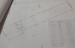 Casa si teren de 15214 mp, Valea Lunga