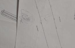 Casa si teren de 15214 mp, Valea Lunga