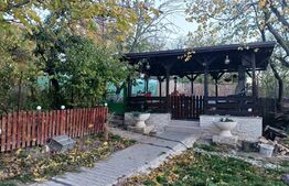 Casa si teren de 15214 mp, Valea Lunga