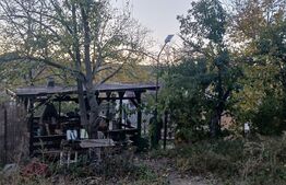 Casa si teren de 15214 mp, Valea Lunga