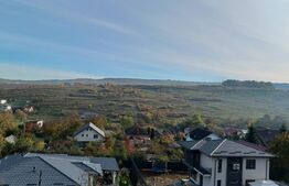 Casa de 450 mp, teren de 900 mp, zona Visani