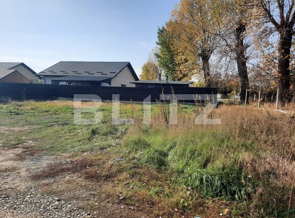 Teren de vânzare Vorovesti - 100425TV | BLITZ Iași | Poza3